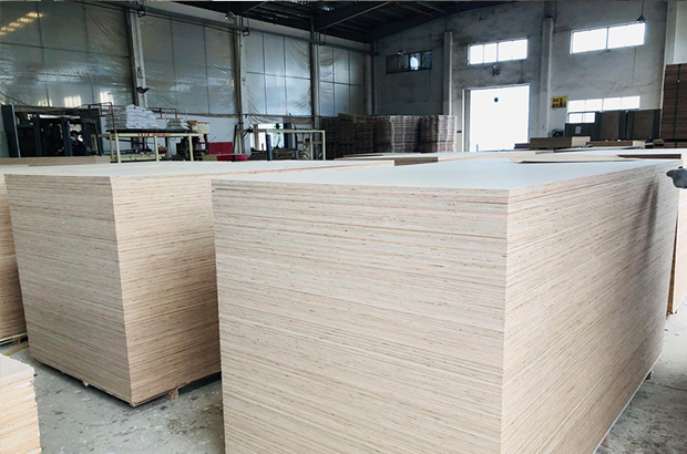 Construction Grade Plywood