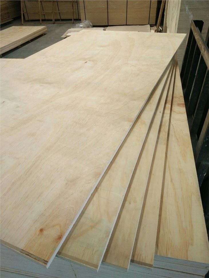 CDX PINE PLYWOOD