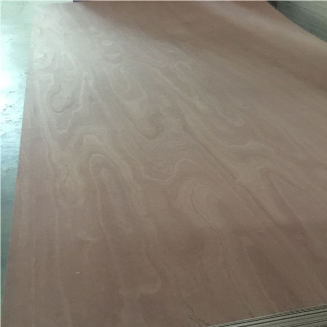 Sapele Faced Plywood