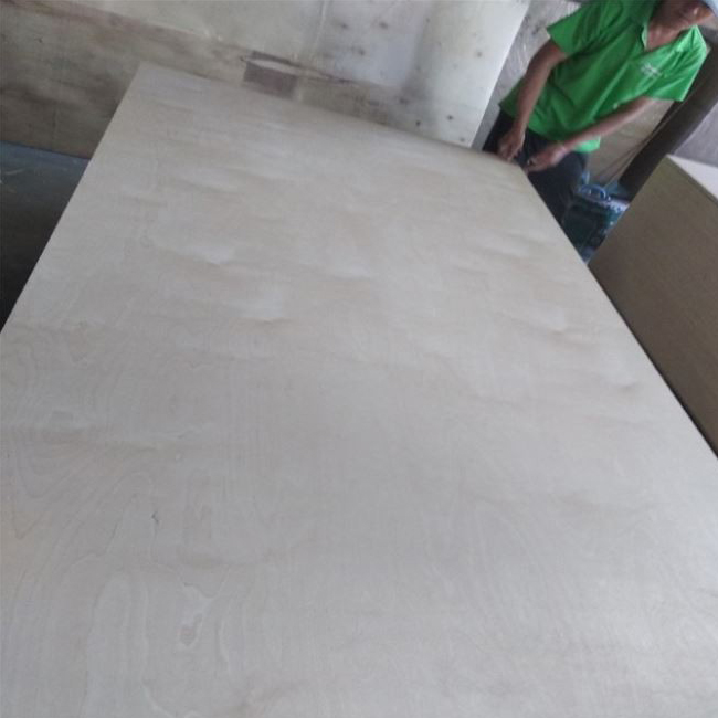 Poplar Core White Birch Plywood For Furniture