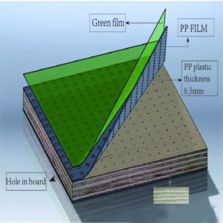 PP Plastic Film Faced Plywood