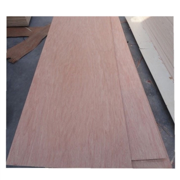 Okoume/Bintangor/Birch Door Skin Plywood With Small Size 915X2135mm