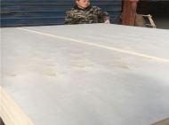 BB Grade Bleached Poplar Plywood