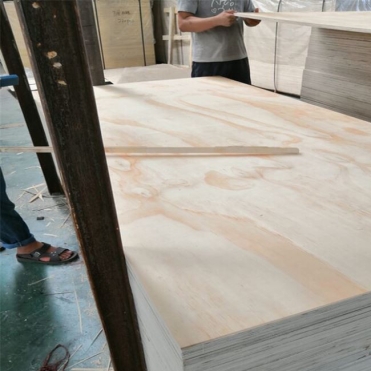 CDX Pine Plywood